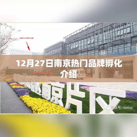 南京品牌孵化盛典，12月27日热门品牌揭晓