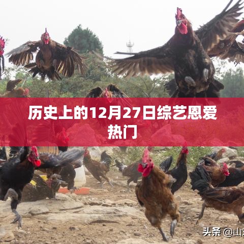 历史上的综艺恩爱日，12月27日的甜蜜回忆