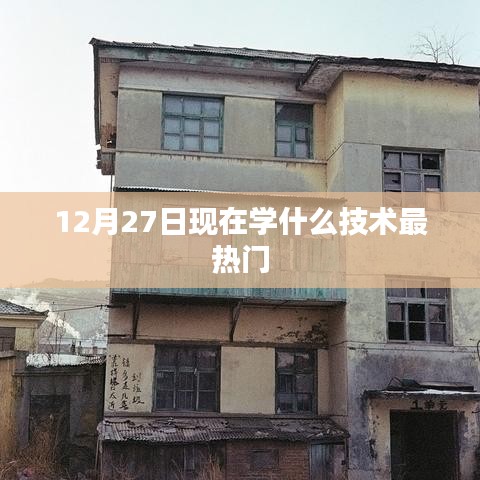 12月27日热门技术趋势，掌握哪些技能最抢手？