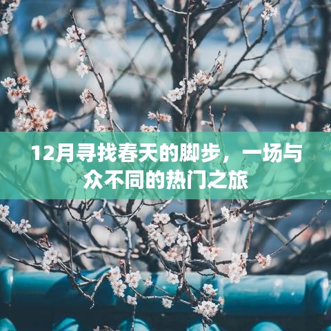 12月踏春之旅，与众不同的热门目的地探寻