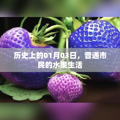 历史中的水果生活，一月三日市民日常观察。
