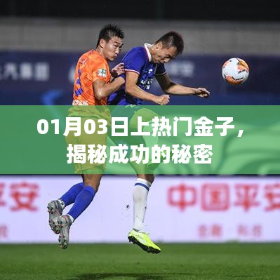 揭秘金子成功秘诀，一月三日的秘密行动！
