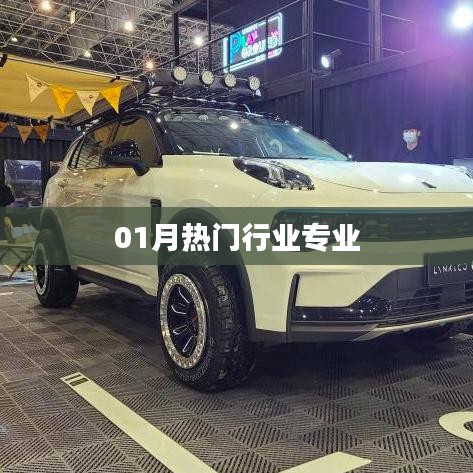 热门行业专业趋势解析，一月速览
