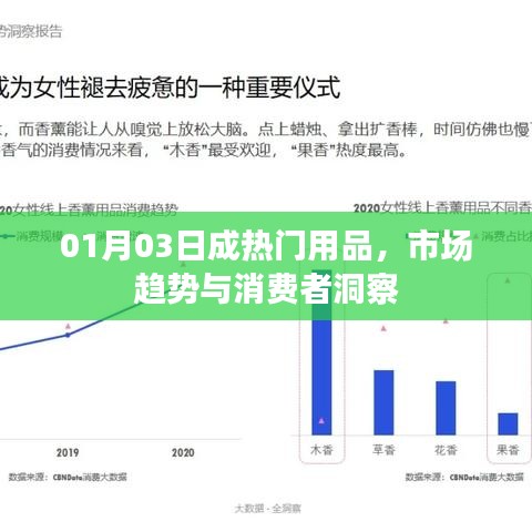 热门用品市场趋势解析，消费者洞察与行业动态（01月03日）