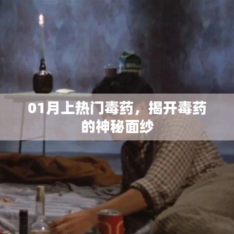 揭秘热门毒药，揭开神秘面纱探真相