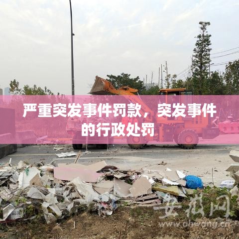 严重突发事件罚款，突发事件的行政处罚 