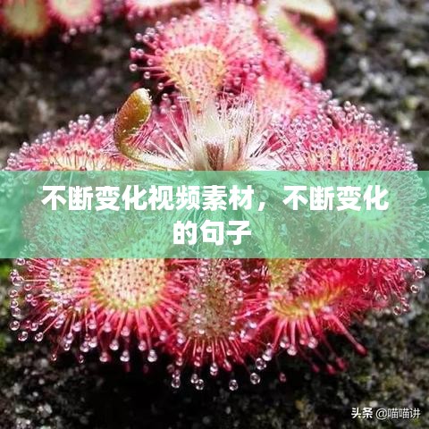 不断变化视频素材，不断变化的句子 