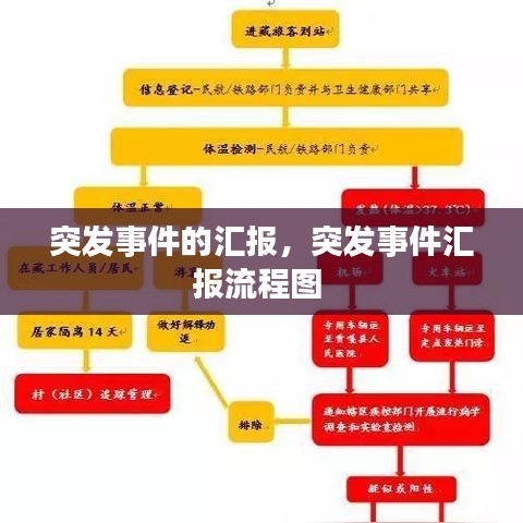 产品中心 第643页