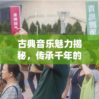 古典音乐魅力揭秘，传承千年的旋律之美