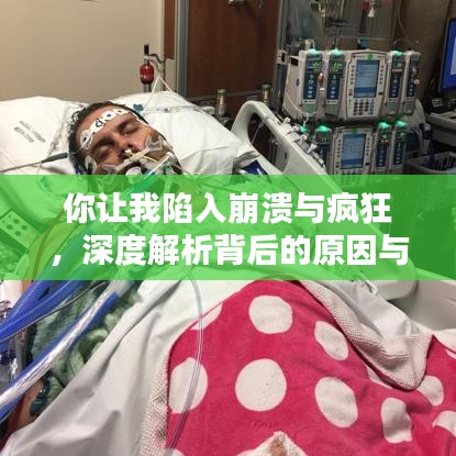 你让我陷入崩溃与疯狂，深度解析背后的原因与应对之道