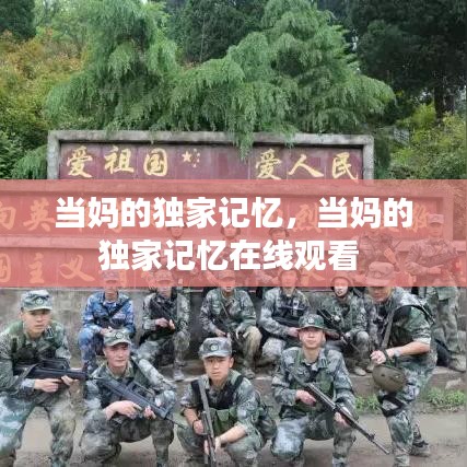 大口径钢管 第81页