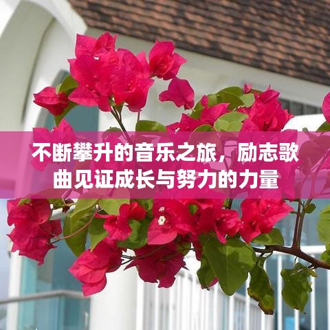 轻飞曼舞 第3页