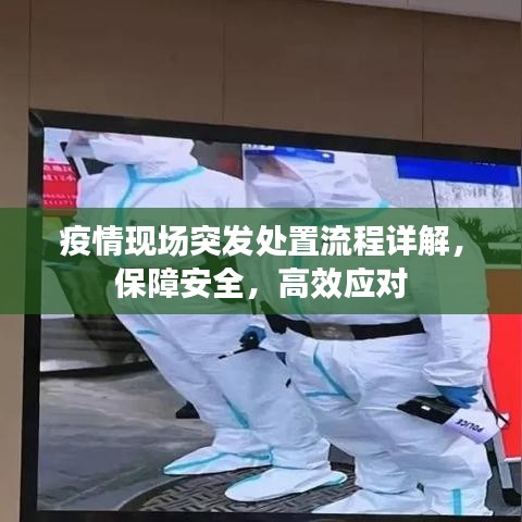 疫情现场突发处置流程详解，保障安全，高效应对