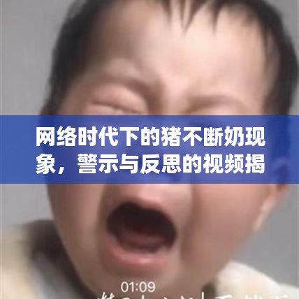 网络时代下的猪不断奶现象，警示与反思的视频揭秘