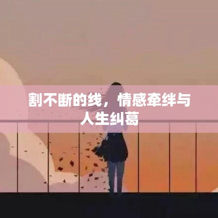 布衣蔬食 第2页