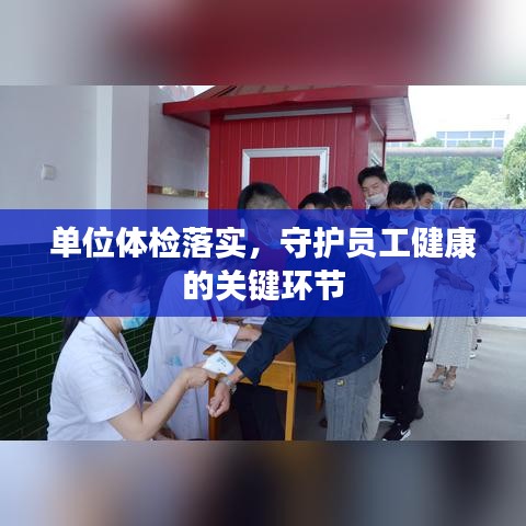 还淳反素 第2页