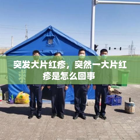 巧舌如簧 第3页
