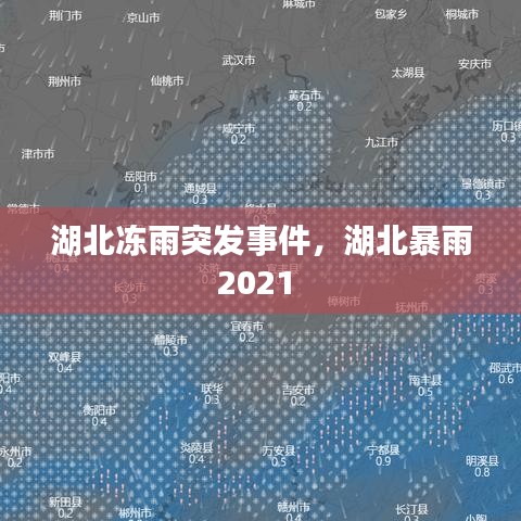 从容就义 第3页