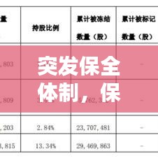 突发保全体制，保全措施是什么意思 