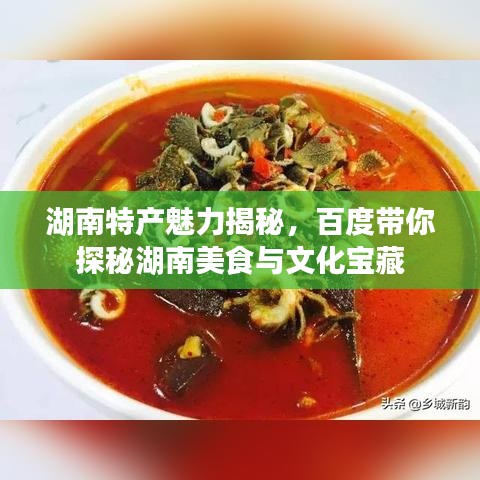 湖南特产魅力揭秘，百度带你探秘湖南美食与文化宝藏
