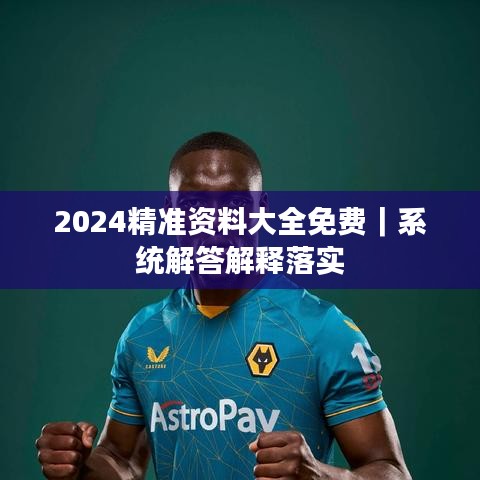 2024精准资料大全免费｜系统解答解释落实