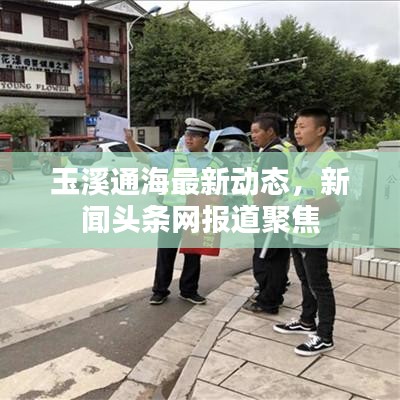 玉溪通海最新动态，新闻头条网报道聚焦