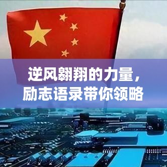 逆风翱翔的力量，励志语录带你领略不如之人的奋斗启示