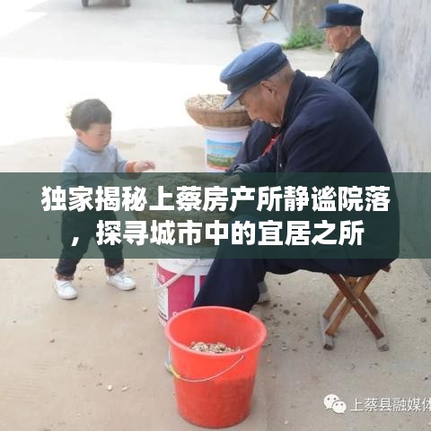 独家揭秘上蔡房产所静谧院落，探寻城市中的宜居之所