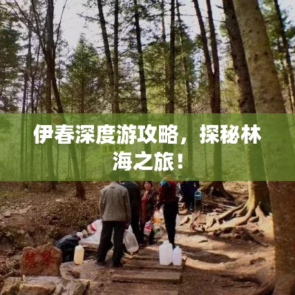 伊春深度游攻略，探秘林海之旅！