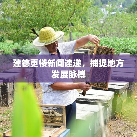 建德更楼新闻速递，捕捉地方发展脉搏