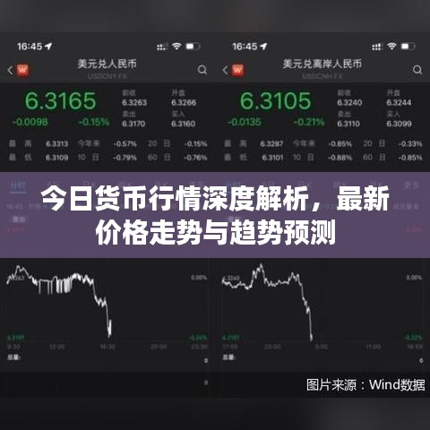 今日货币行情深度解析，最新价格走势与趋势预测