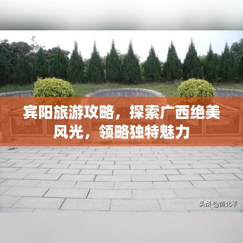 宾阳旅游攻略，探索广西绝美风光，领略独特魅力