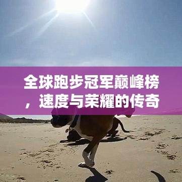 全球跑步冠军巅峰榜，速度与荣耀的传奇对决！