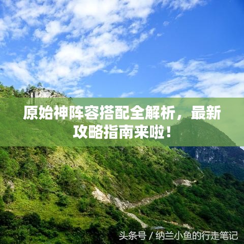 原始神阵容搭配全解析，最新攻略指南来啦！