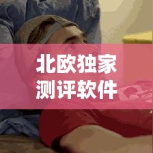 北欧独家测评软件深度探索与体验全解析下载