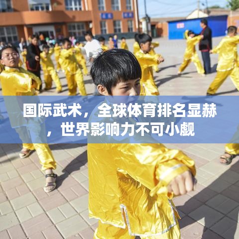 国际武术，全球体育排名显赫，世界影响力不可小觑