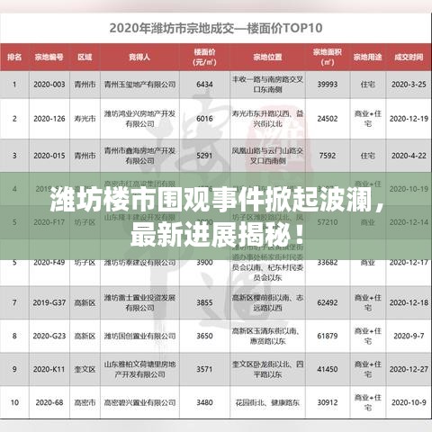 潍坊楼市围观事件掀起波澜，最新进展揭秘！