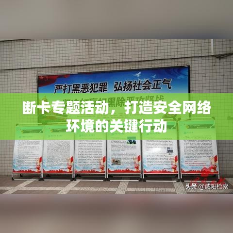 断卡专题活动，打造安全网络环境的关键行动
