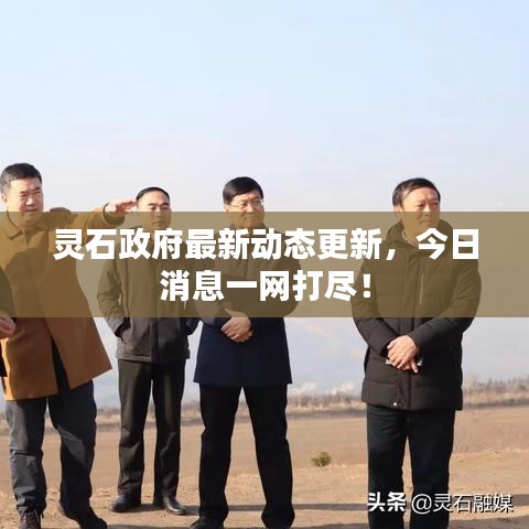 灵石政府最新动态更新，今日消息一网打??！