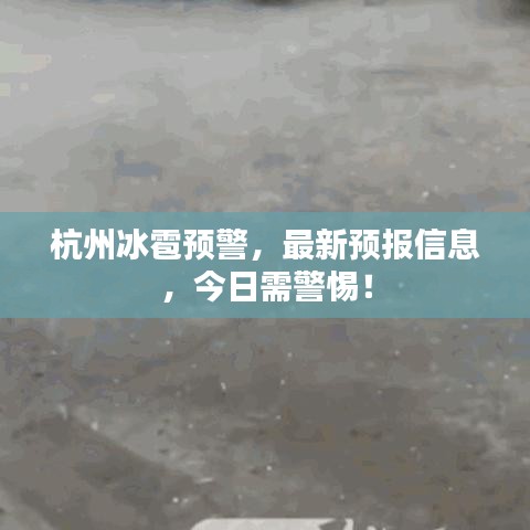 杭州冰雹预警，最新预报信息，今日需警惕！