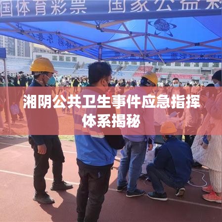 熊经鸟申 第2页