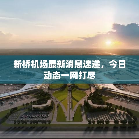 新桥机场最新消息速递，今日动态一网打尽