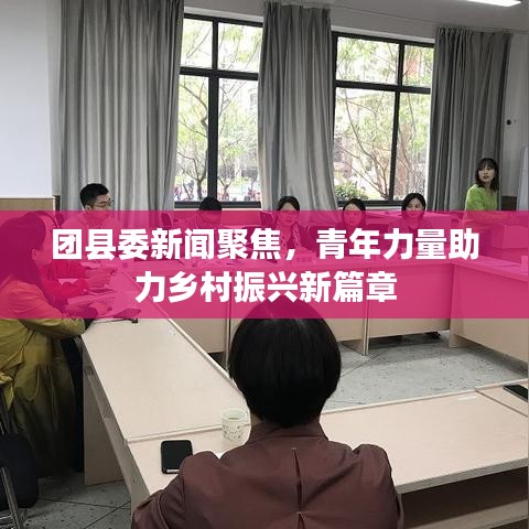 团县委新闻聚焦，青年力量助力乡村振兴新篇章