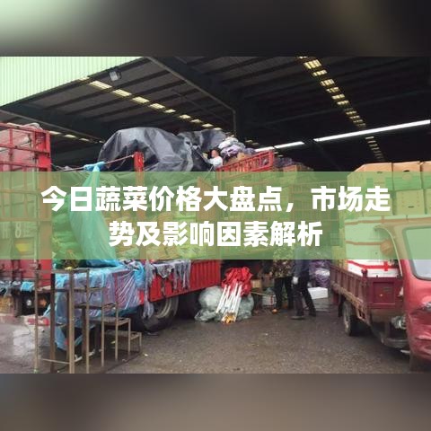 今日蔬菜价格大盘点，市场走势及影响因素解析