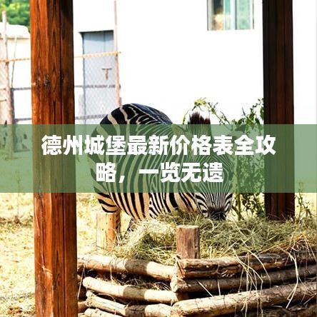 德州城堡最新价格表全攻略，一览无遗