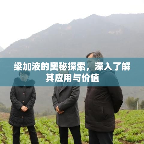 粱加液的奥秘探索，深入了解其应用与价值