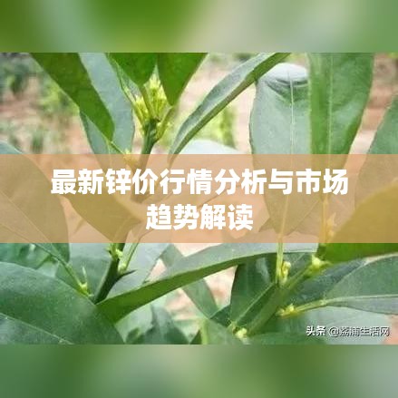 最新锌价行情分析与市场趋势解读