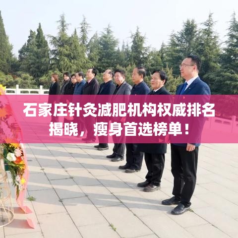 石家庄针灸减肥机构权威排名揭晓，瘦身首选榜单！