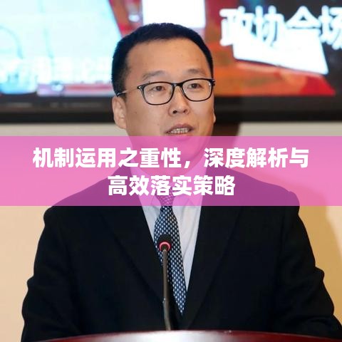 机制运用之重性，深度解析与高效落实策略
