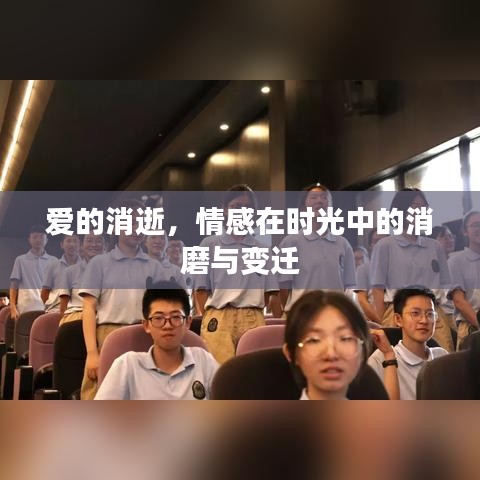 爱的消逝，情感在时光中的消磨与变迁